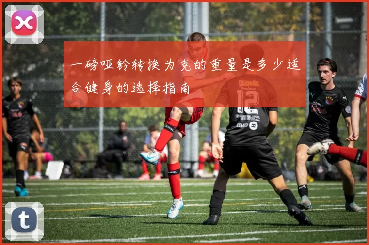 一磅哑铃转换为克的重量是多少适合健身的选择指南