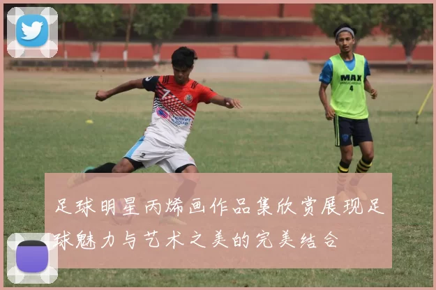 足球明星丙烯画作品集欣赏展现足球魅力与艺术之美的完美结合