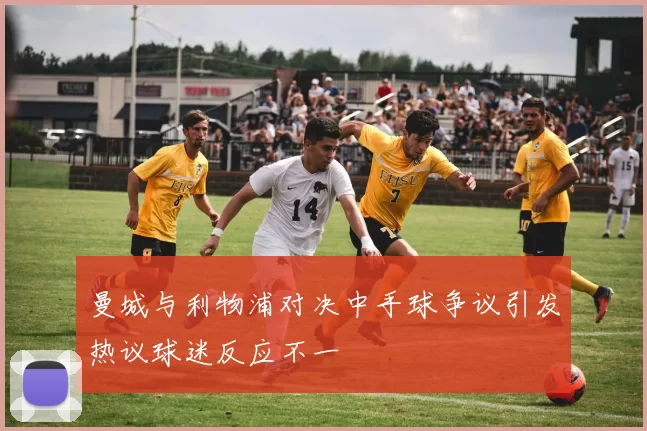 曼城与利物浦对决中手球争议引发热议球迷反应不一