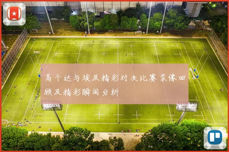 乌干达与埃及精彩对决比赛录像回顾及精彩瞬间分析